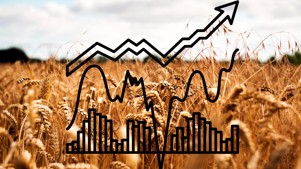 How To Trade Wheat Futures